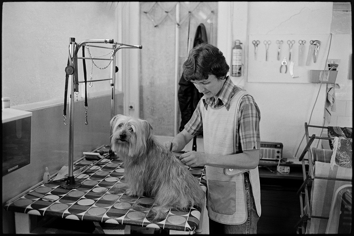 Women shampooing dogs in pet parlour, dogs with hair dryers. 
[A woman grooming a dog at 'Bonny Pets' pets parlour at East the Water, Bideford. Leads are hung up by the grooming table and scissors can be seen hung on the wall in the background.]