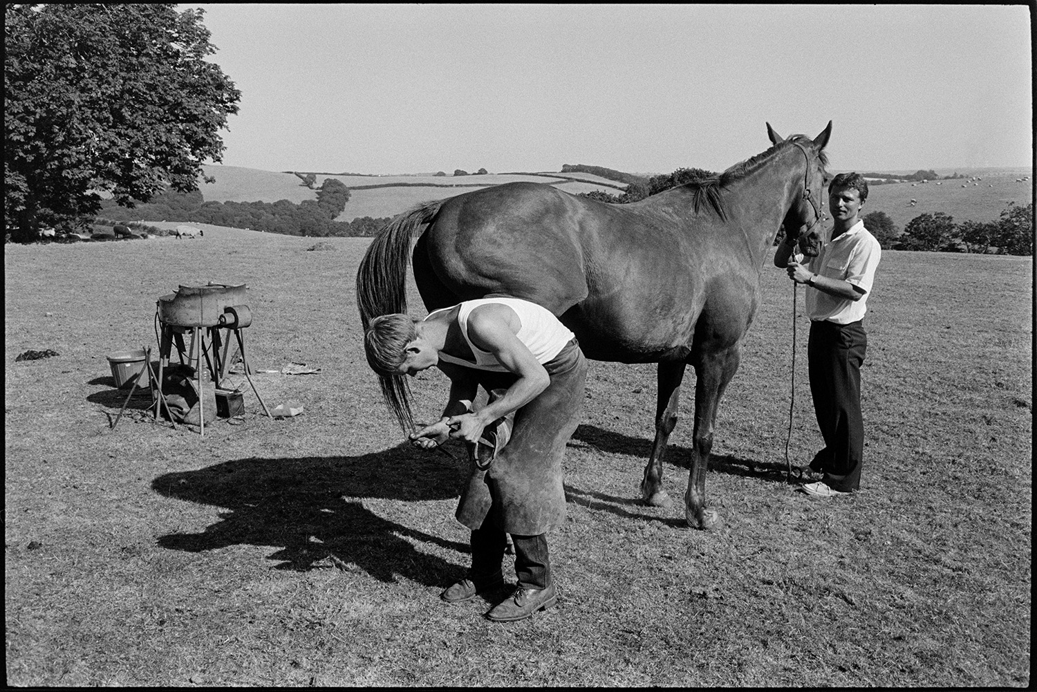 Blacksmith demonstrating at fete, wheel of fortune. 
[A blacksmith or farrier demonstrating how to shoe a horse in a field at a fete. His tools can be seen nearby. Another man is holding the reigns of the horse and a landscape of fields and trees is visible in the background.]