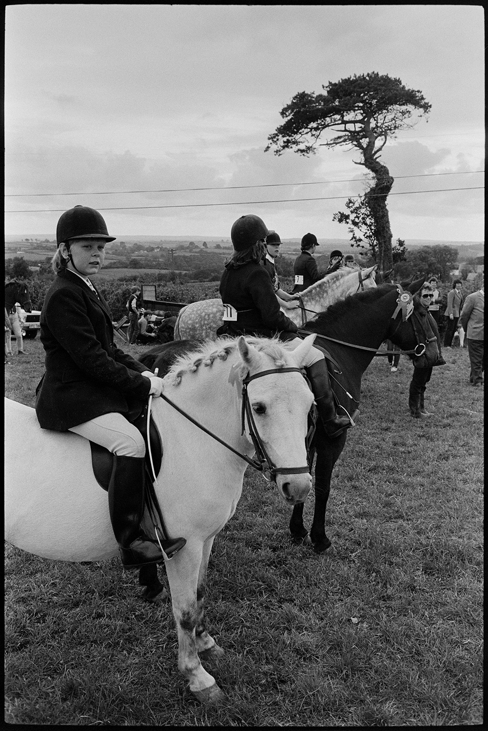 Horses and riders at gymkhana. Ponies.
[Young riders mounted on horses in a line in a field at Dolton Gymkhana. A tree can be seen in the background.]