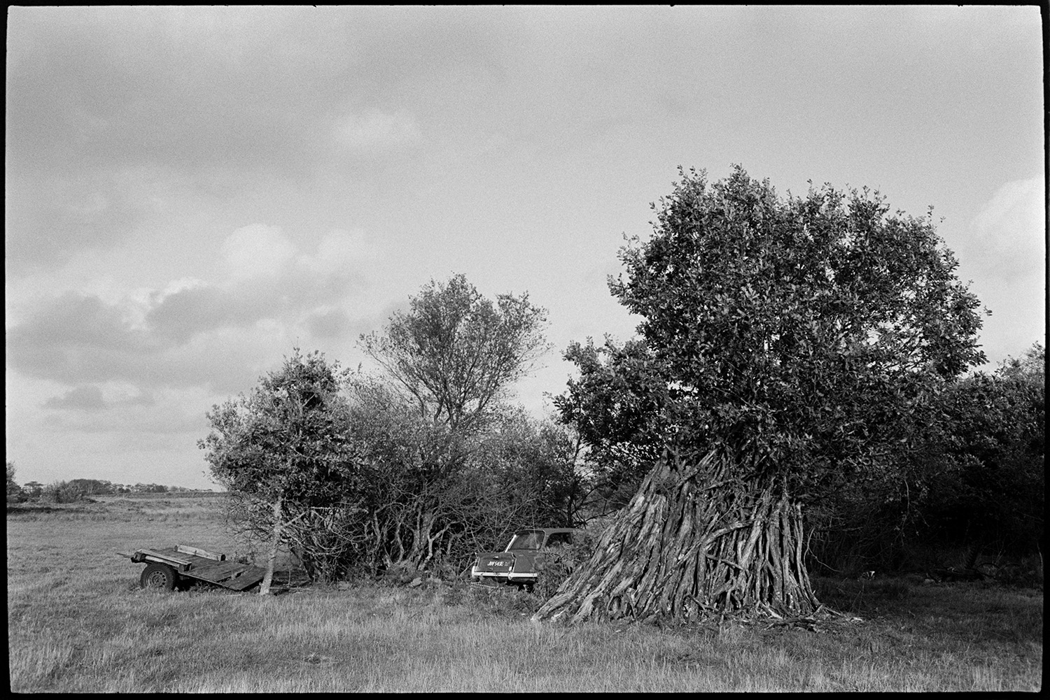 Woodpile in field behind farm.
[A woodpile of logs stacked by a tree in a field at Cupper's Piece, Beaford. A trailer and a car can also be seen by the trees.]