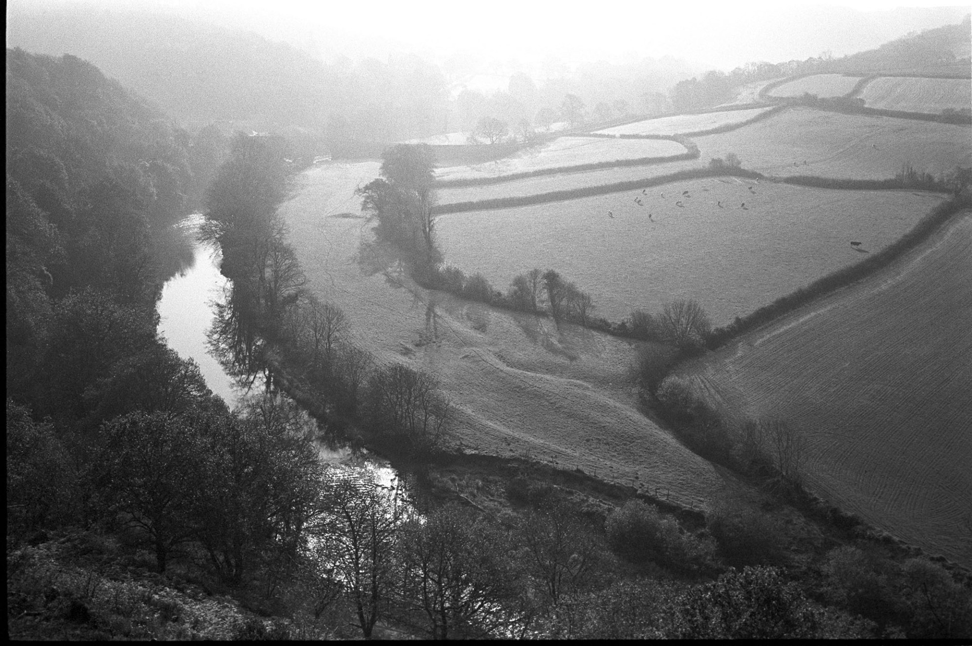 View over river and fields early morning.
[An early morning view over the River Torridge, fields and woodland at Torrington.]