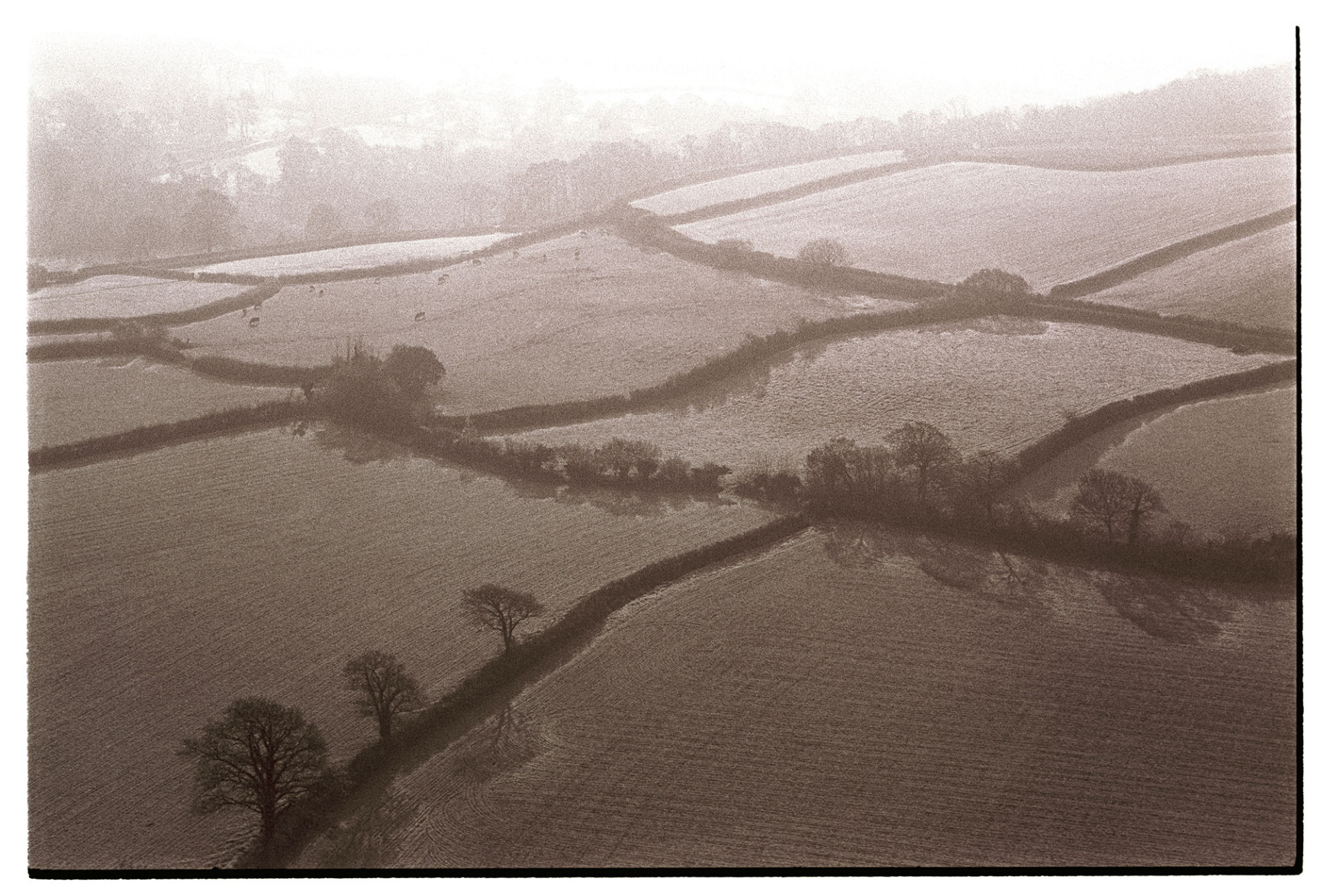 View of frosty fields and hedgerows, early morning.
[An early morning view of frosty fields and hedgerows above the River Torridge at Torrington. Livestock are grazing in one of the fields.]