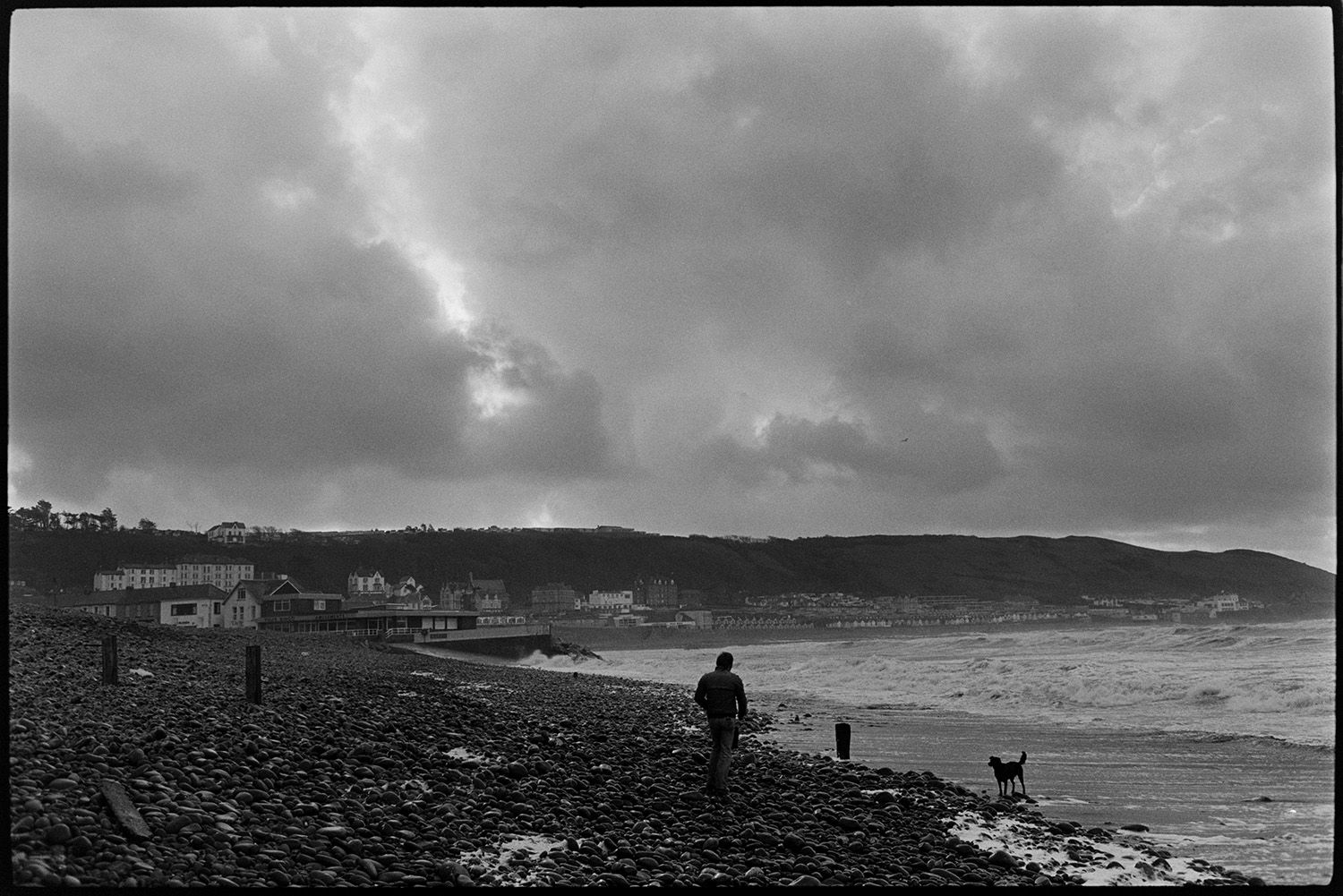 People walking beside stormy sea, leaning on the wind.
[A man walking his dog on the pebbles on Westward Ho! beach. A stormy sky and waves rolling in on the shoreline are visible.]