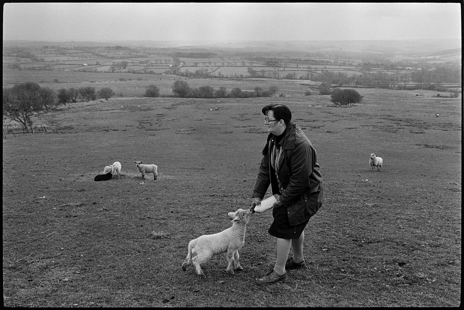 Television crew filming the photographer working on moor.
[A woman feeding a lamb with a bottle in a field at Hatherleigh Moor. Views of fields and hills can be seen in the distance.]