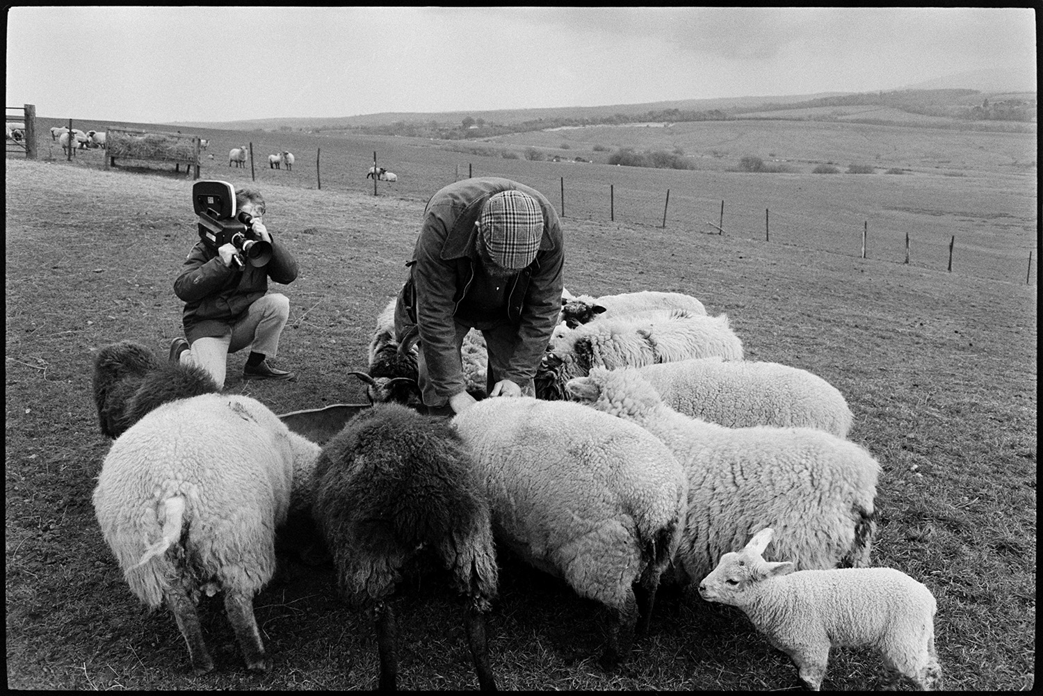 Television crew filming the photographer working on moor.
[Malcolm Baldwin filming a farmer feeding sheep in a field at Hatherleigh Moor. Views of field and hills can be seen in the distance.]