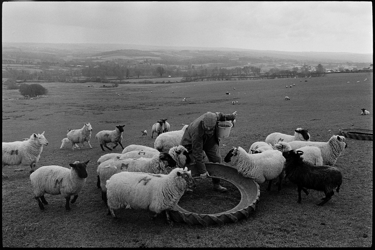 Television crew filming the photographer working on moor.
[A man moving a tractor tyre feeding trough to feed sheep in a field on Hatherleigh Moor. Views of fields and hills can be seen in the distance.]