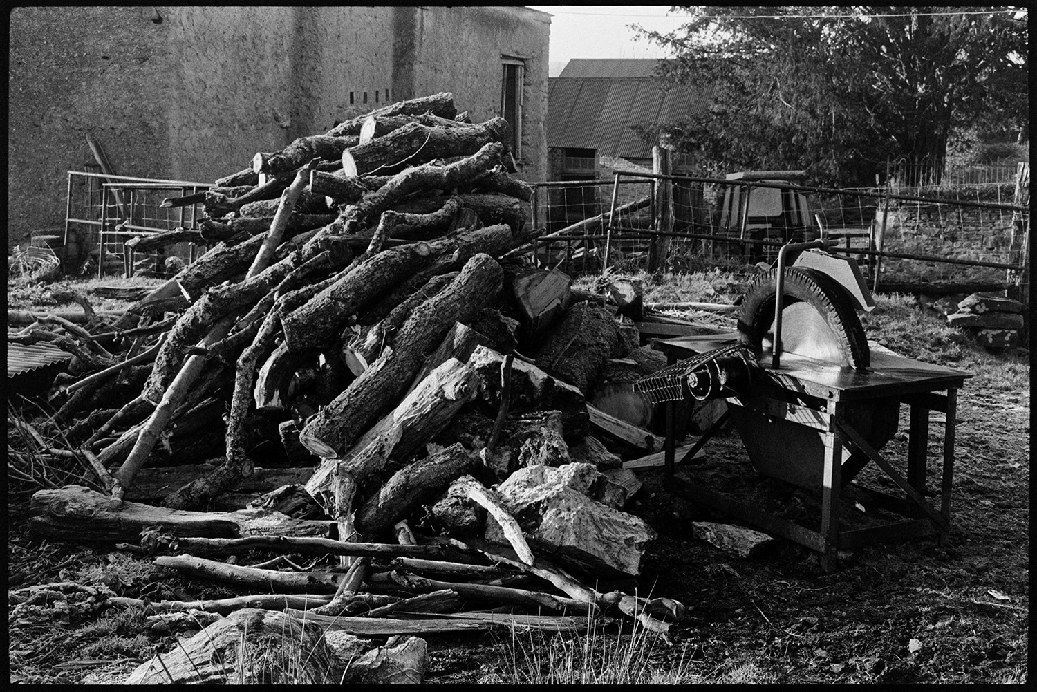 Sawmill and woodpile in yard.
[A woodpile and circular saw bench in the farmyard at Lower Langham, Dolton. The blade of the saw is covered with an old tyre. A tractor and farm buildings are visible in the background.]