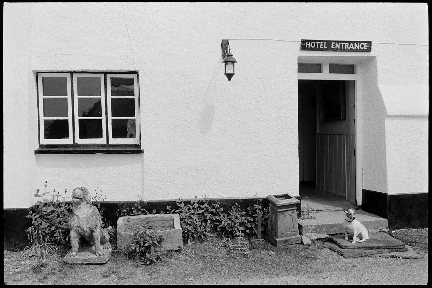 A dog sitting on a mat on the doorstep of the Duke of York, Iddesleigh. A stone trough, a stone ornament and milk bottle holders are also outside the front of the pub.