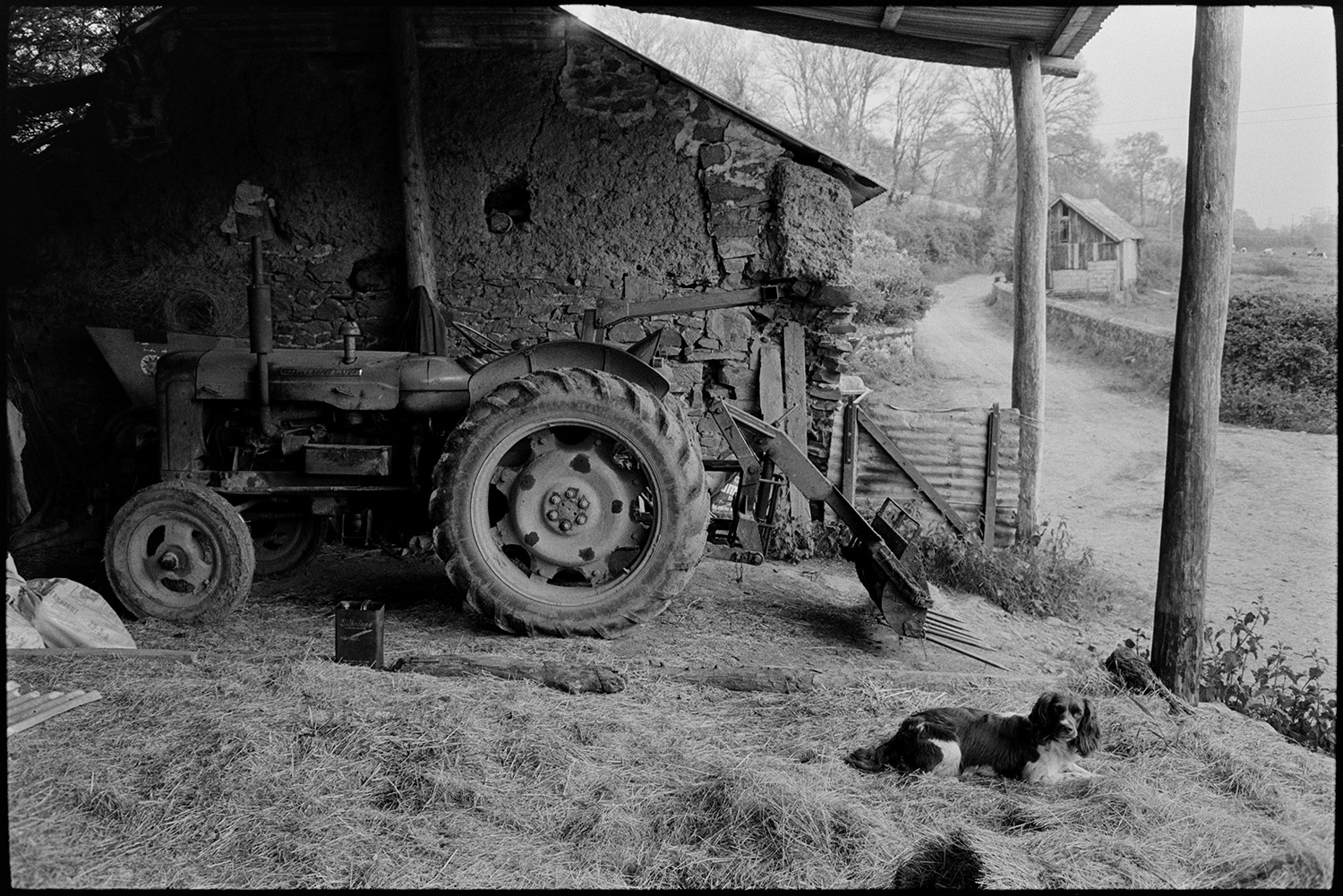 Modern barn with tractor.
[A tractor parked in an open barn next to a road. A dog is lying in straw in the barn and an oil can  is visible next to the tractor.]