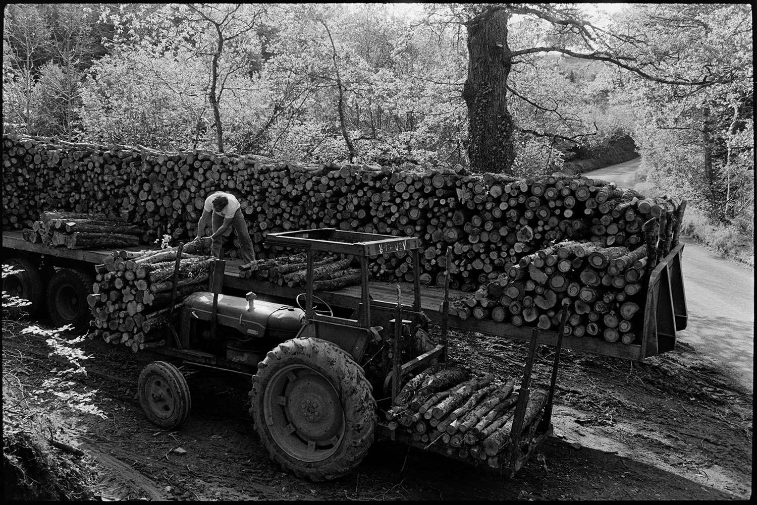 Man stacking logs on edge of wood.
[A man loading logs from a tractor with a forklift onto a trailer at the edge of a wood on Kingford Hill, High Bickington.]