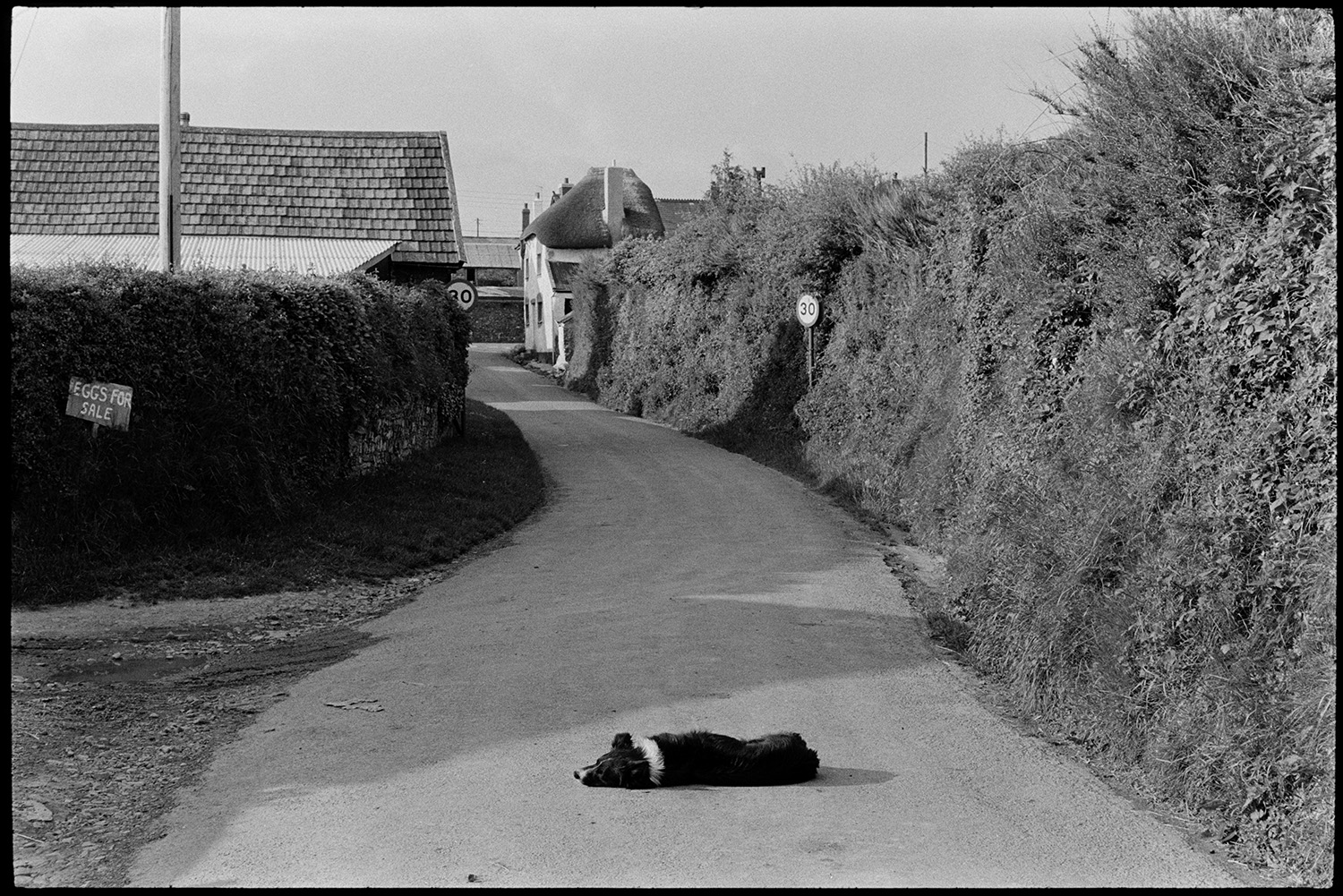 Scenes around village, comparison shots with old photos.
[A collie dog lying in the road next to an entrance, possibly to a farm, with an 