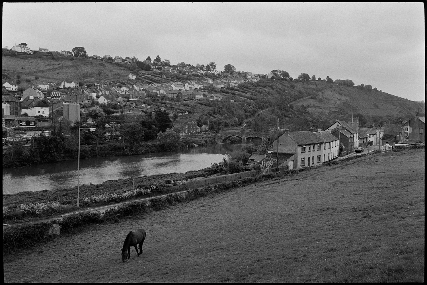 Scenes around town, comparison with old photos, railway line and station, lorries and cars, river.
[Scene from the bottom of a field looking towards a hillside with houses in Torrington.  A horse is grazing in a field in the foreground beside the River Torridge. A bridge can also be seen over the river.]