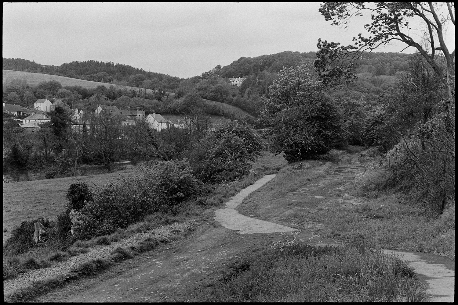 Scenes around town, comparison with old photos, railway line and station, lorries and cars, river.
[A footpath running through a field with trees by the River Torridge at Torrington. Houses can be seen on the wooded hillside in the background.]