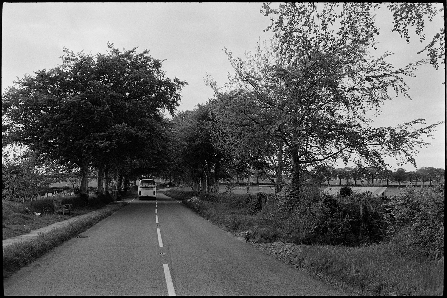 Road with bus and car and beech avenue, comparison with old photo.
[A bus driving up a tree lined road at Winkleigh.]