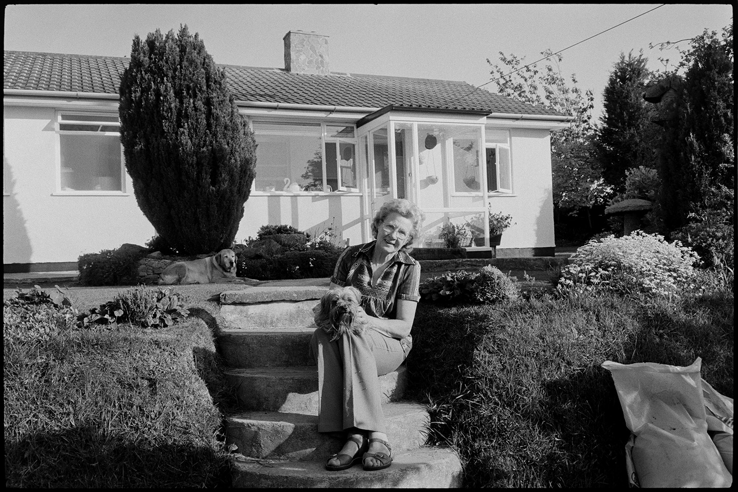 Woman sitting in garden of bungalow.
[Beatrice Nancekivel, also known as Beat, sitting on steps in her garden leading up to her bungalow, at The Patch, Woodtown, Dolton. She is holding a dog on her lap. Another dog is sitting in the shade of a shrub in the background.]