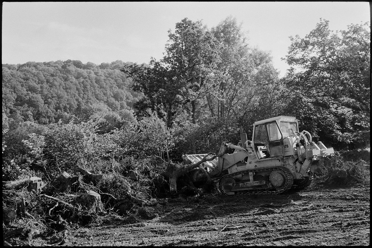 Bulldozer clearing trees from small wood to make pasture.
[A bulldozer clearing trees for pasture on the edge of woodland above Millhams, Dolton. More woodland can be seen in the background.]
