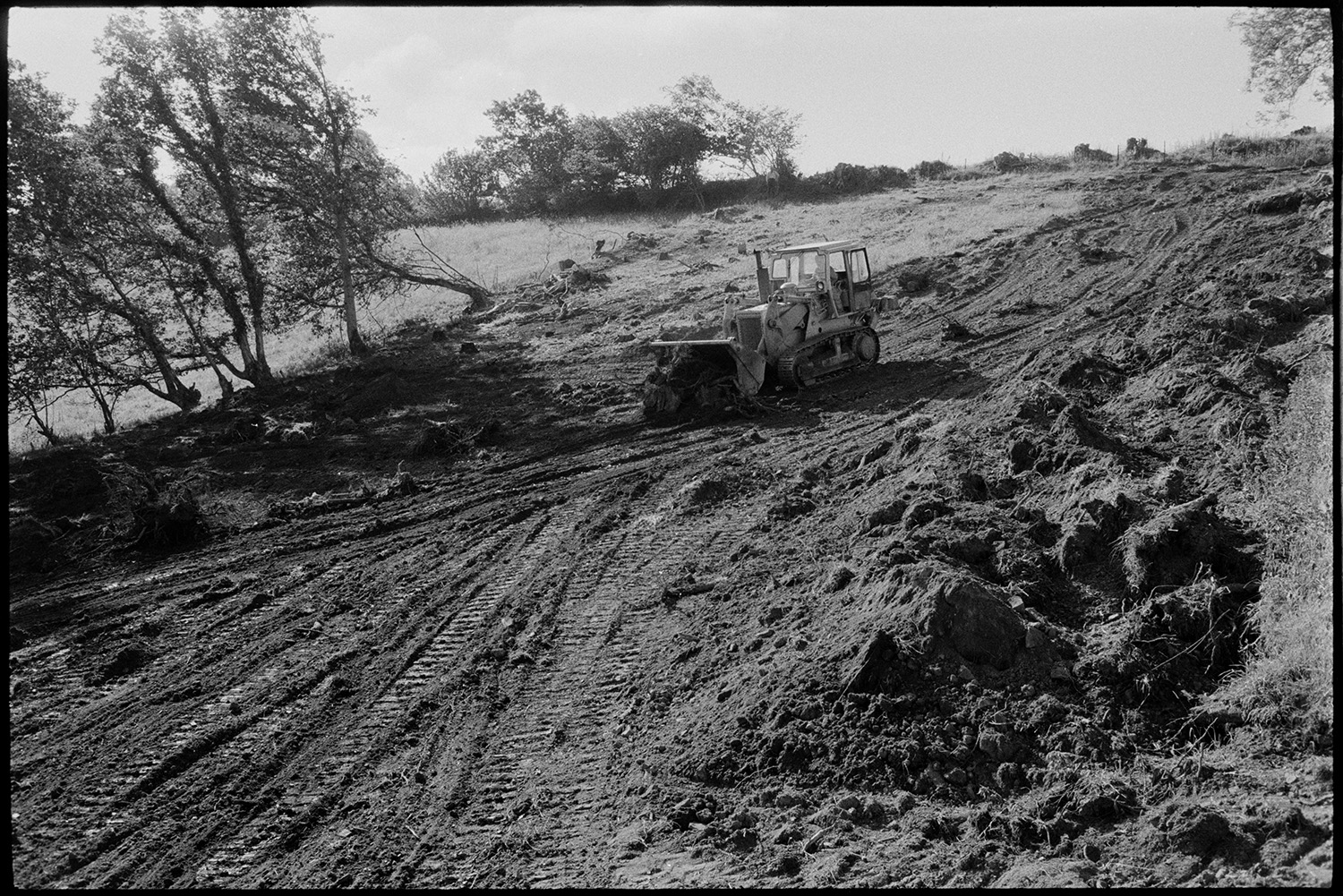 Bulldozer clearing trees from small wood to make pasture.
[A bulldozer clearing a muddy area for pasture above Millhams, Dolton. Trees and field boundaries are visible in the background.]