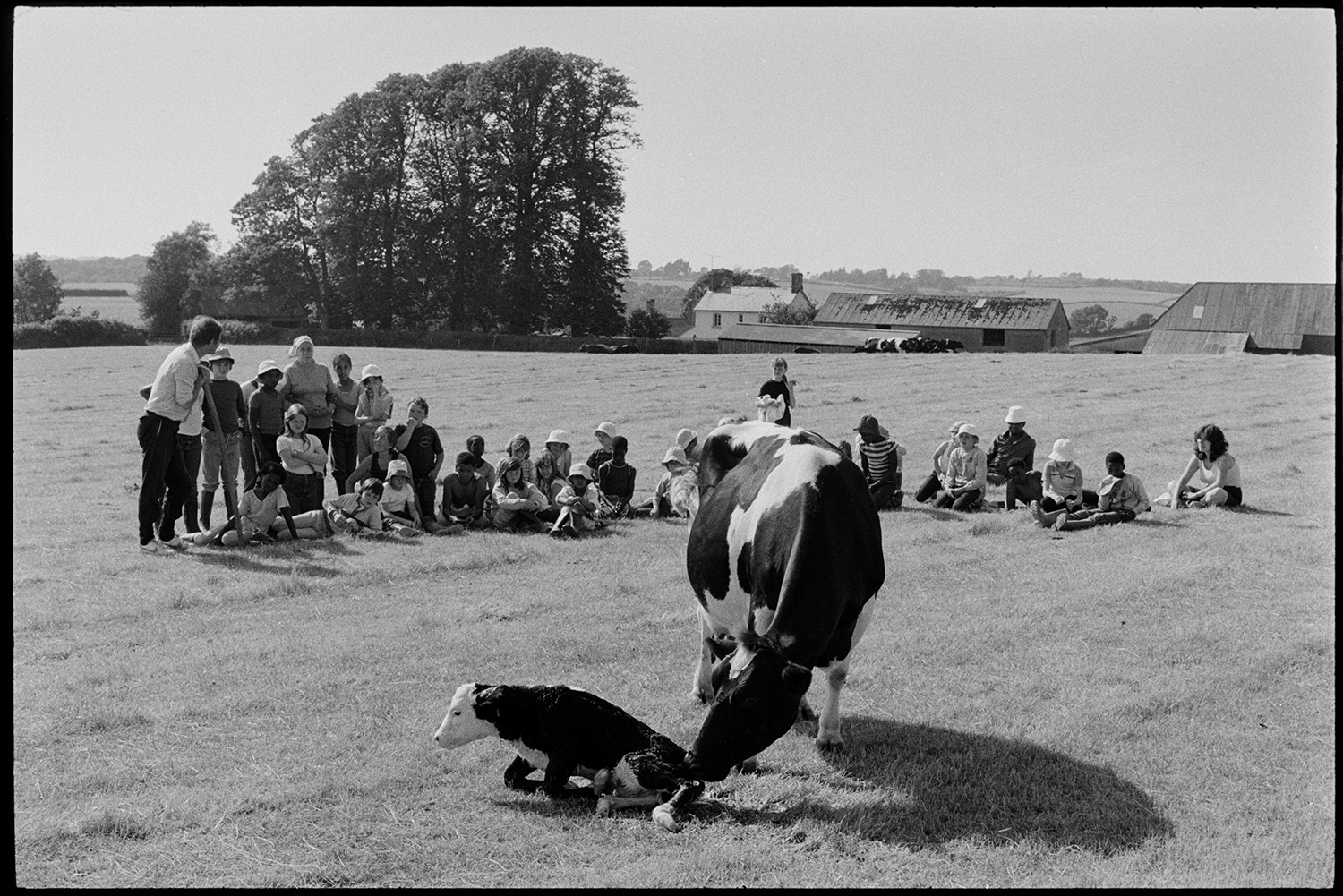 School children watching a cow and new born calf in field.
[A group of children being shown a cow with a new born calf in a field at Parsonage Farm, Iddesleigh as part of the Farms for City Children project. In the background is the farmhouse and farm buildings, next to a group of large trees,]