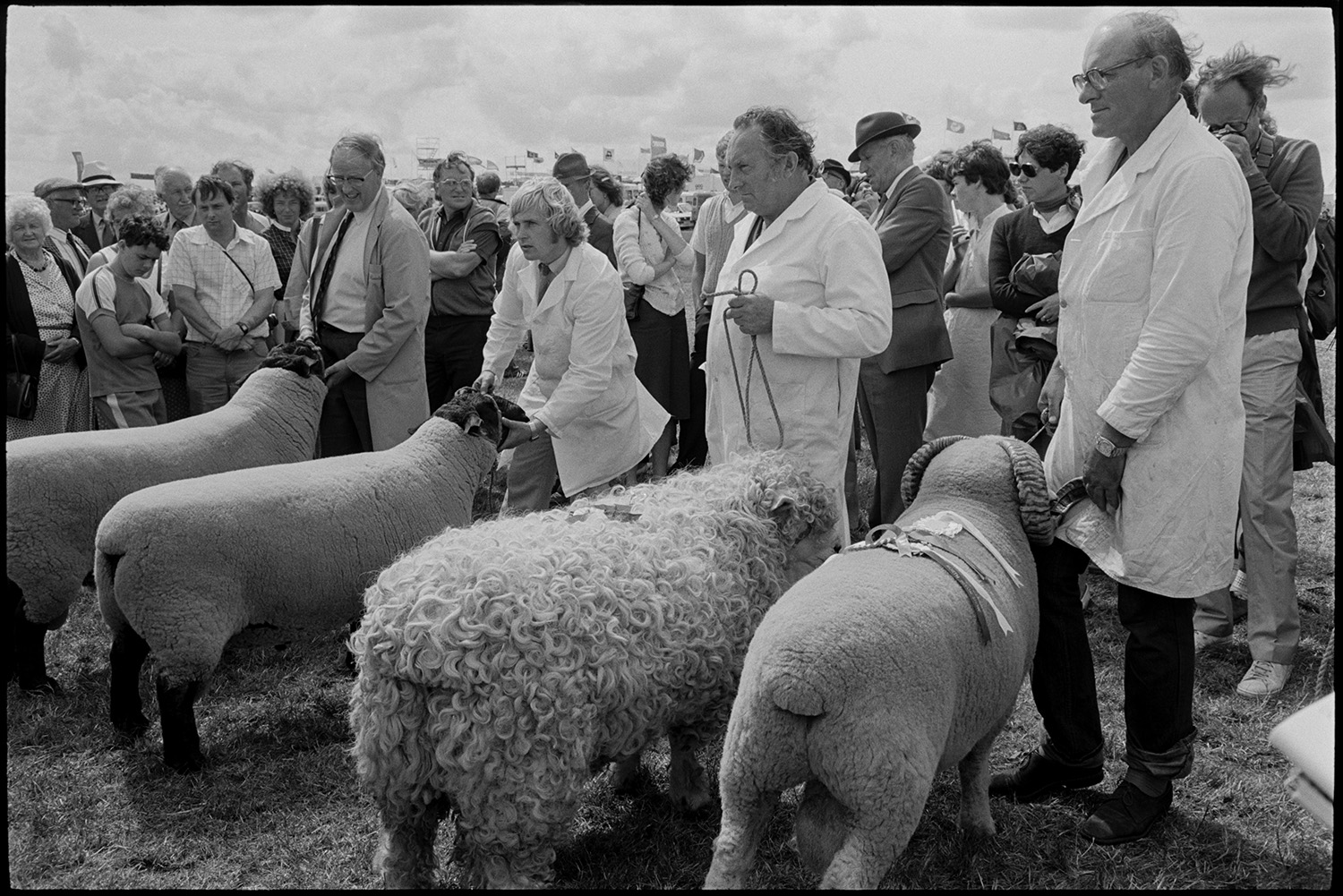 North Devon Show, Prize cattle, sheep, exhibitions etc.
[Four men showing rams at the North Devon Show near Alverdiscott. One of the rams is wearing rosettes. Visitors to the Show are watching in the background.]