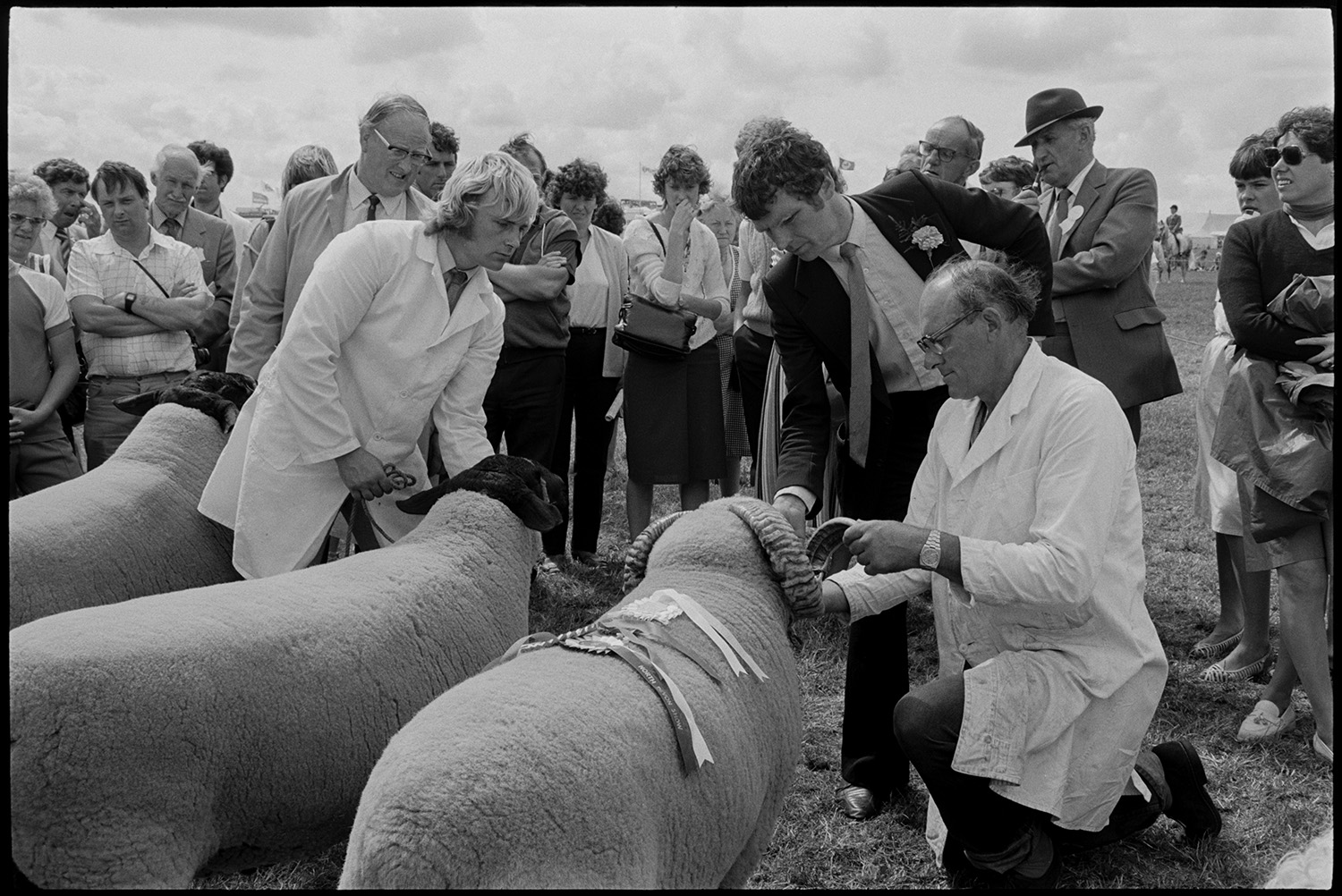 North Devon Show, Prize cattle, sheep, exhibitions etc.
[Judges and farmers inspecting rams at the North Devon Show near Alverdiscott, watched by visitors to the Show.]