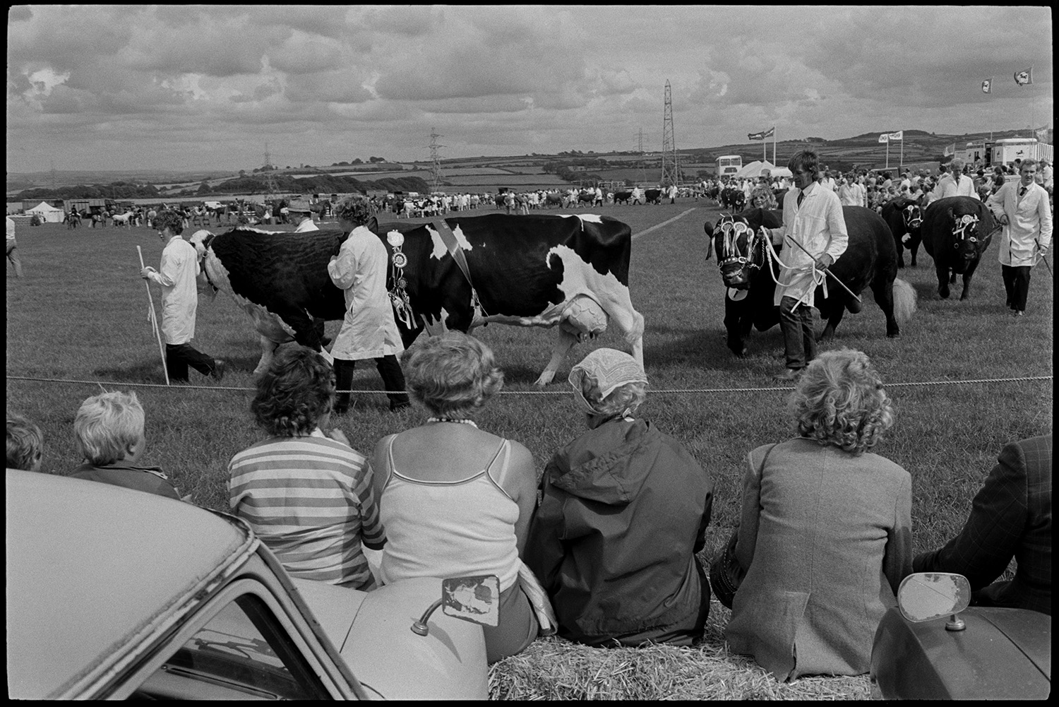North Devon Show, Prize cattle, sheep, people having teas, woman, mother and baby.
[Visitors sat on hay bales by cars watching a parade of prize winning cattle in the show ring at the North Devon Show near Alverdiscott. A landscape with visitors, marquees and electric pylons is visible in the background.]