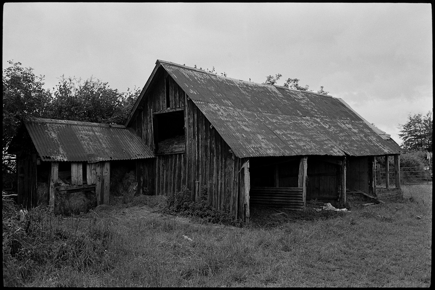 Barn, wooden construction with corrugated iron roof.
[An old large wooden barn with corrugated roof and tallet in a field, possibly near Burrington.]