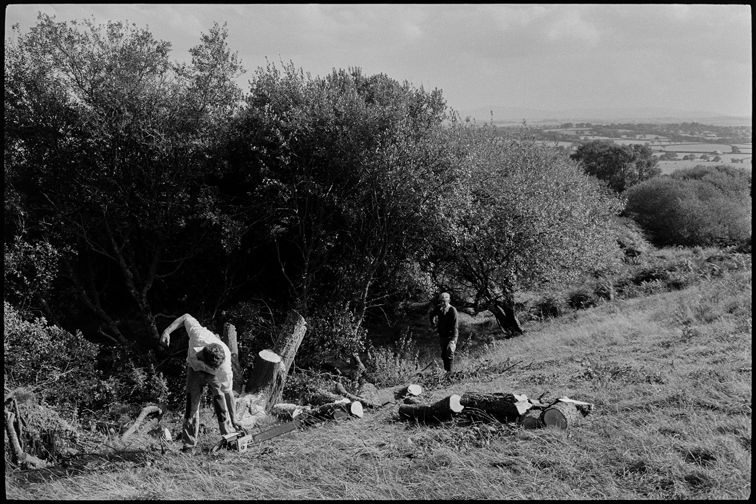Men cutting trees on moor and loading logs onto trailer. View to Dartmoor.
[Two men cutting trees, using a chainsaw, on Hatherleigh Moor, with Dartmoor hills in the background.]