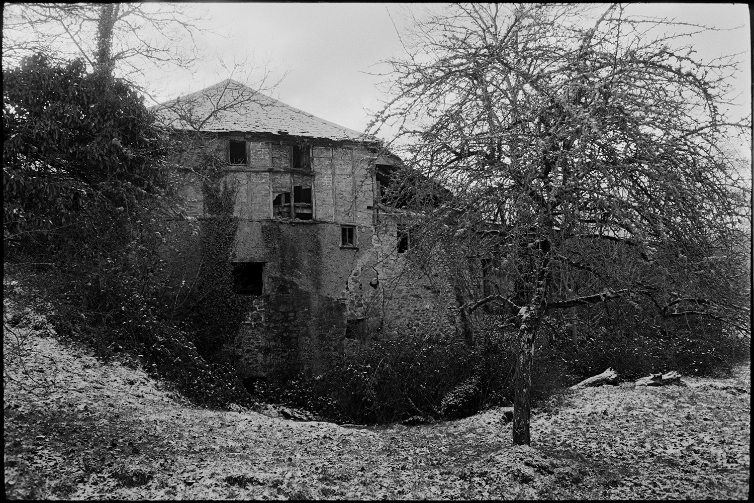 Snow. Farmer inspecting sheep in pen, clipping feet and drenching, syringe and ointment.
[A derelict mill building at Westpark, Iddesleigh, standing in a field lightly covered in snow, with an apple tree and overgrown hedges. The building wall has a timber frame which is infilled with brick and cob.]