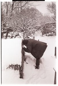 Olive Bennett checking stock in snow by James Ravilious