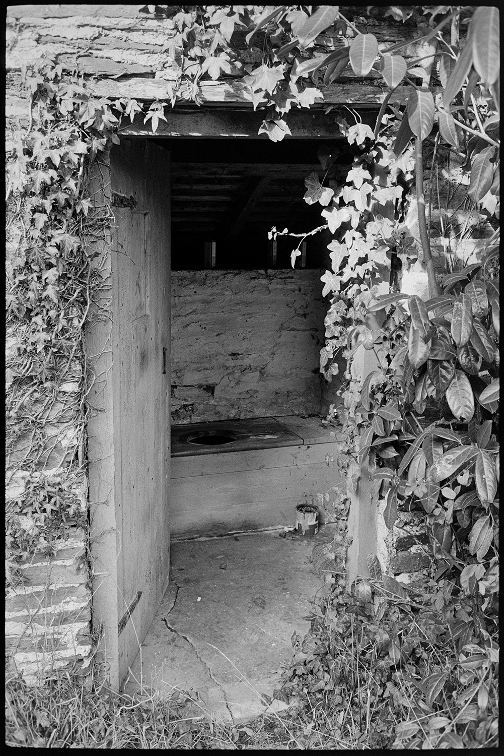 Entrance to outside lavatory toilet, showing wooden seat, ivy round door. 
[The open entrance to an outside toilet at Bottreaux Mill, Molland, The wooden toilet seat is visible through the open doorway which is surrounded by ivy.]