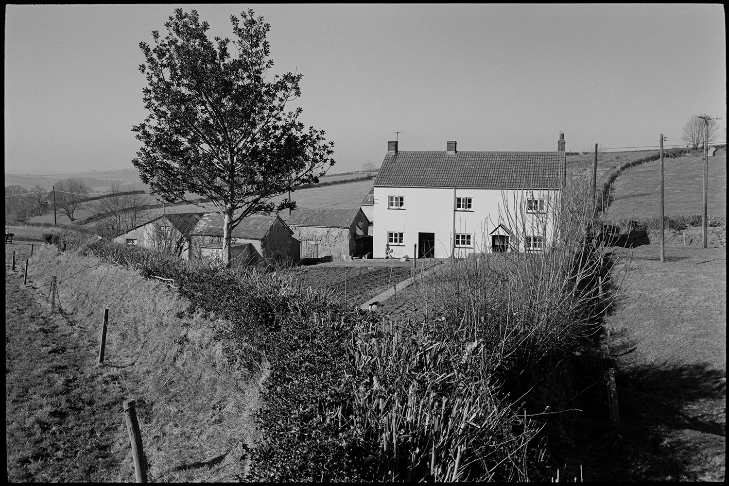 Farmhouse with sheep, farmers wife with lambs in garden. 
[The farmhouse, garden and barns at Jeffrys, Beaford, also known as Mill Road Farm. A landscape with fields and hedgerows can be seen behind the farmhouse.]