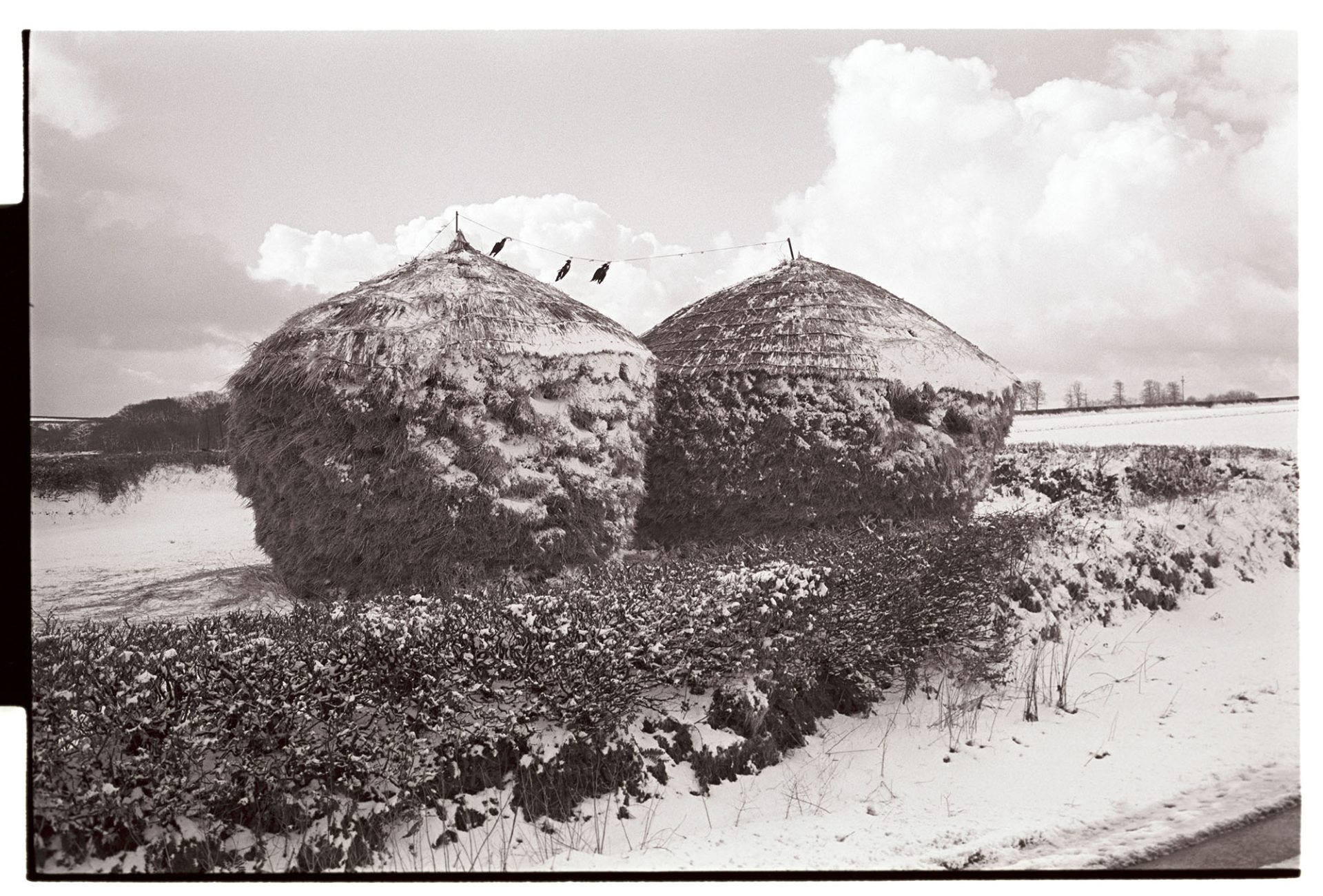 Snow. Two thatched wheatricks with snow with crows strung between them. 
[Two thatched wheat ricks in a field covered with snow at Westacott, Riddlecombe. Three dead crows are strung between the wheat ricks.]