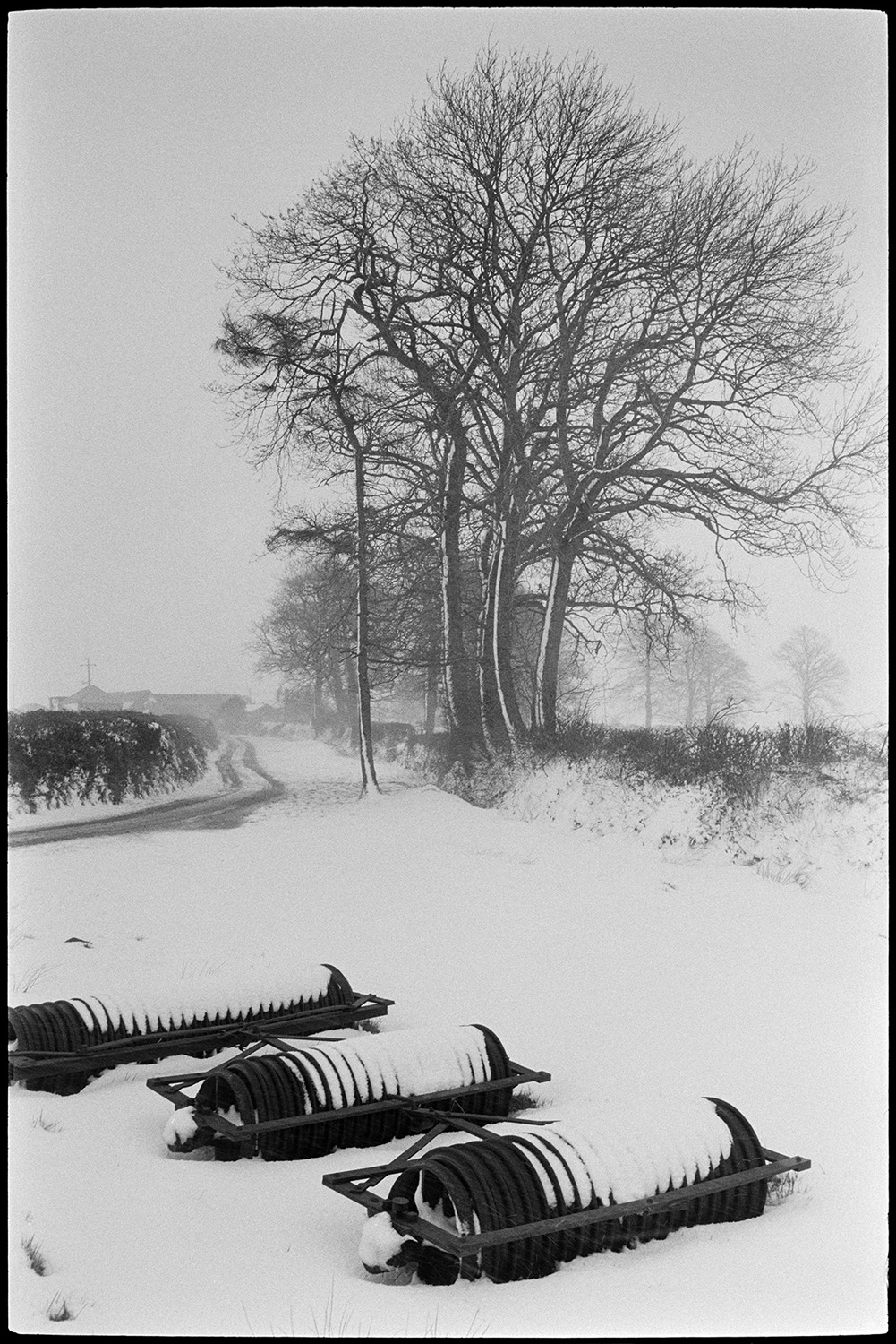 Snow, rollers and trees in blizzard. 
[Three rollers in a snow covered field with trees at Westacott, Riddlecombe. A partially clear road can be seen in the background.]