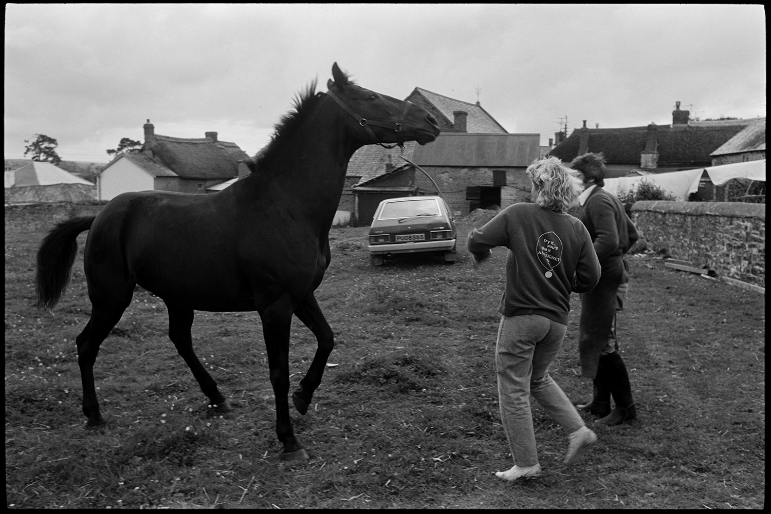 Blacksmith shoeing horse in field. 
[Kay Allin and a blacksmith attempting to control a horse to shoe it, in a field at Dolton. Thatched cottages are visible in the background.]