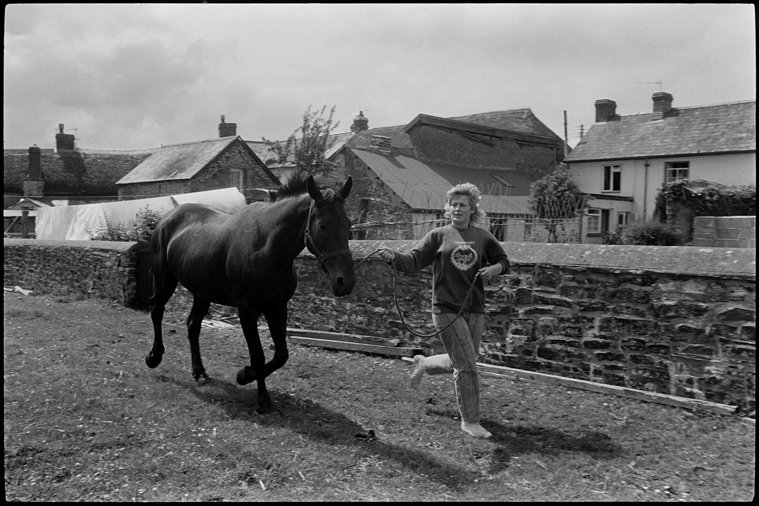 Horse taken out of stables to be shod. 
[Kay Allin bringing a horse into a field for a blacksmith to shoe it at Dolton. Cottages can be seen in the background behind a wall around the field.]