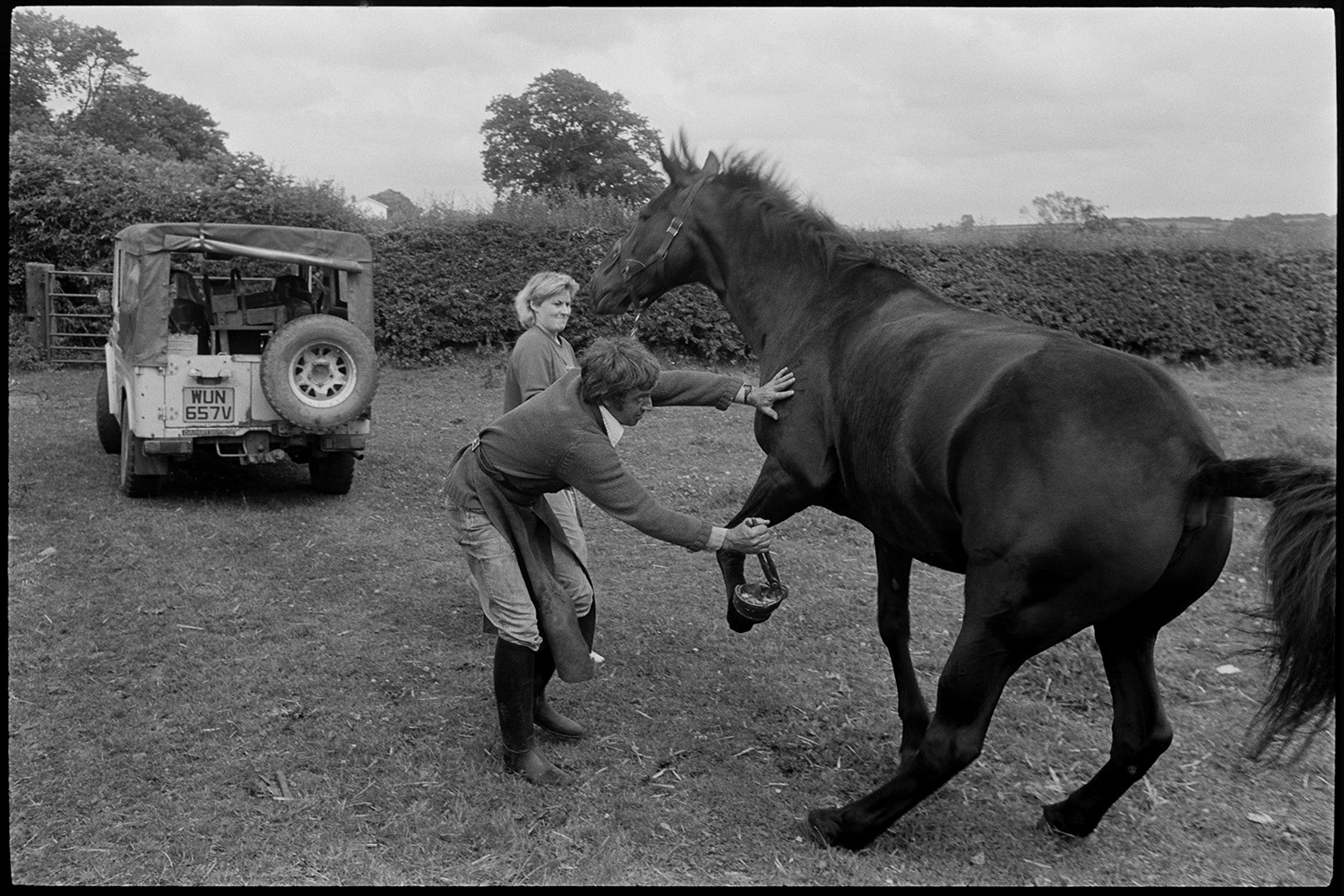 Horse taken out of stables to be shod. 
[A blacksmith shoeing a horse in a field at Dolton. Kay Allin is holding the reigns and trying to control the horse. A Land Rover is parked in the background.]