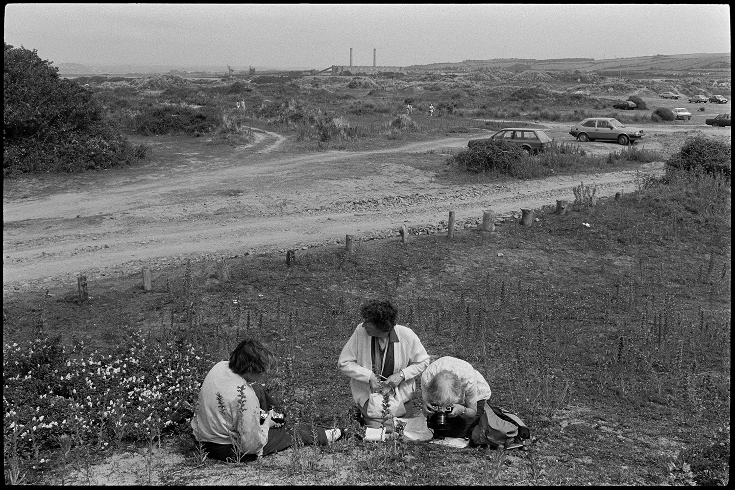 Women studying flowers in nature reserve. 
[Three women studying flowers on the sand dunes in the nature reserve at Braunton Burrows. Margaret Tulloh is photographing a flower. Parked cars can be seen in the background and Yelland Power Station is visible on the horizon.]