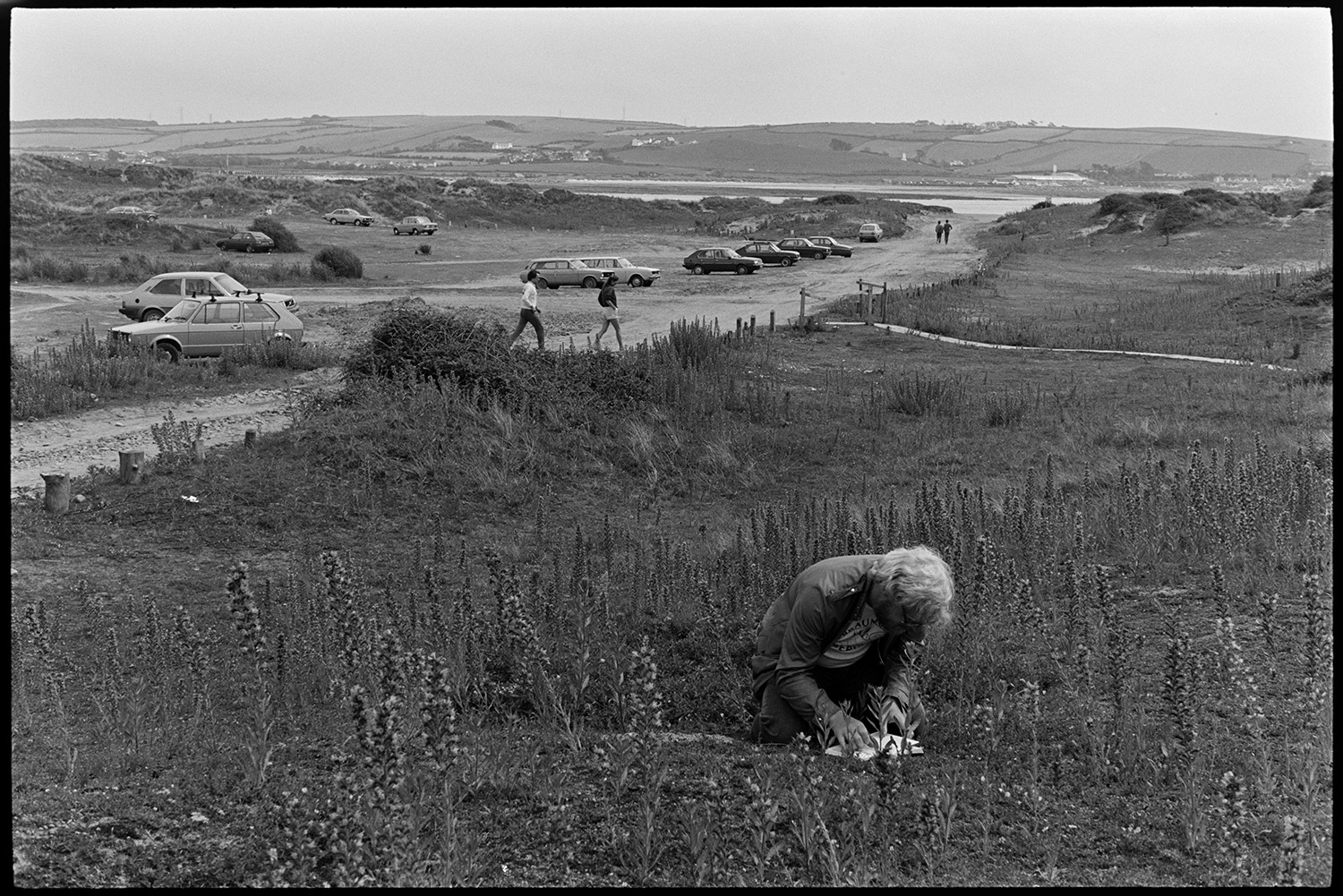 View across estuary with beach and distant power station. 
[A person looking at flowers on the sand dunes at Braunton Burrows. They are either drawing the plant or comparing the flower to a picture in a book. Parked cars and the estuary can be seen in the background.]