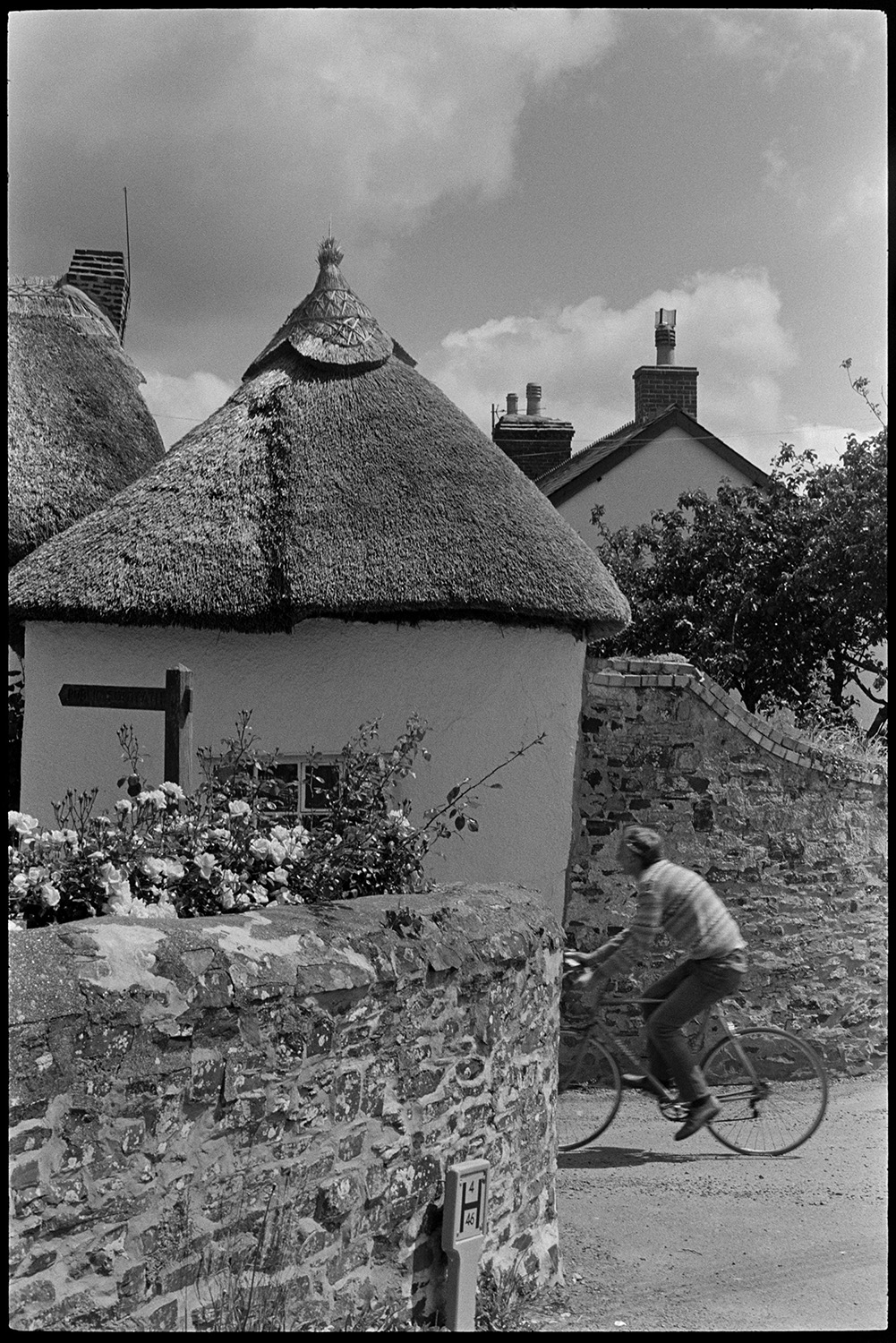 Street scene, woman carrying flowers. 
[A man cycling past a thatched cottage and walled garden in West Lane, Dolton. Flowers can be seen in the walled garden.]