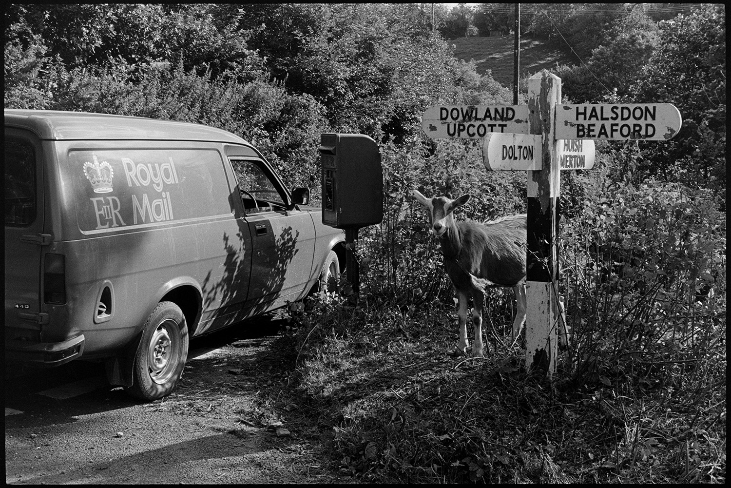 Post van parked beside letter box with tethered goat. 
[A Royal Mail post van parked next to a post box at Woolridge Cross, Dolton. A goat is tethered to the signpost.]