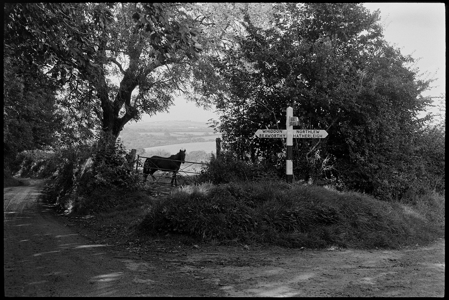 A signpost by a road junction, possibly near Northlew, Beaworthy. A horse is looking over a field gate in the background.
