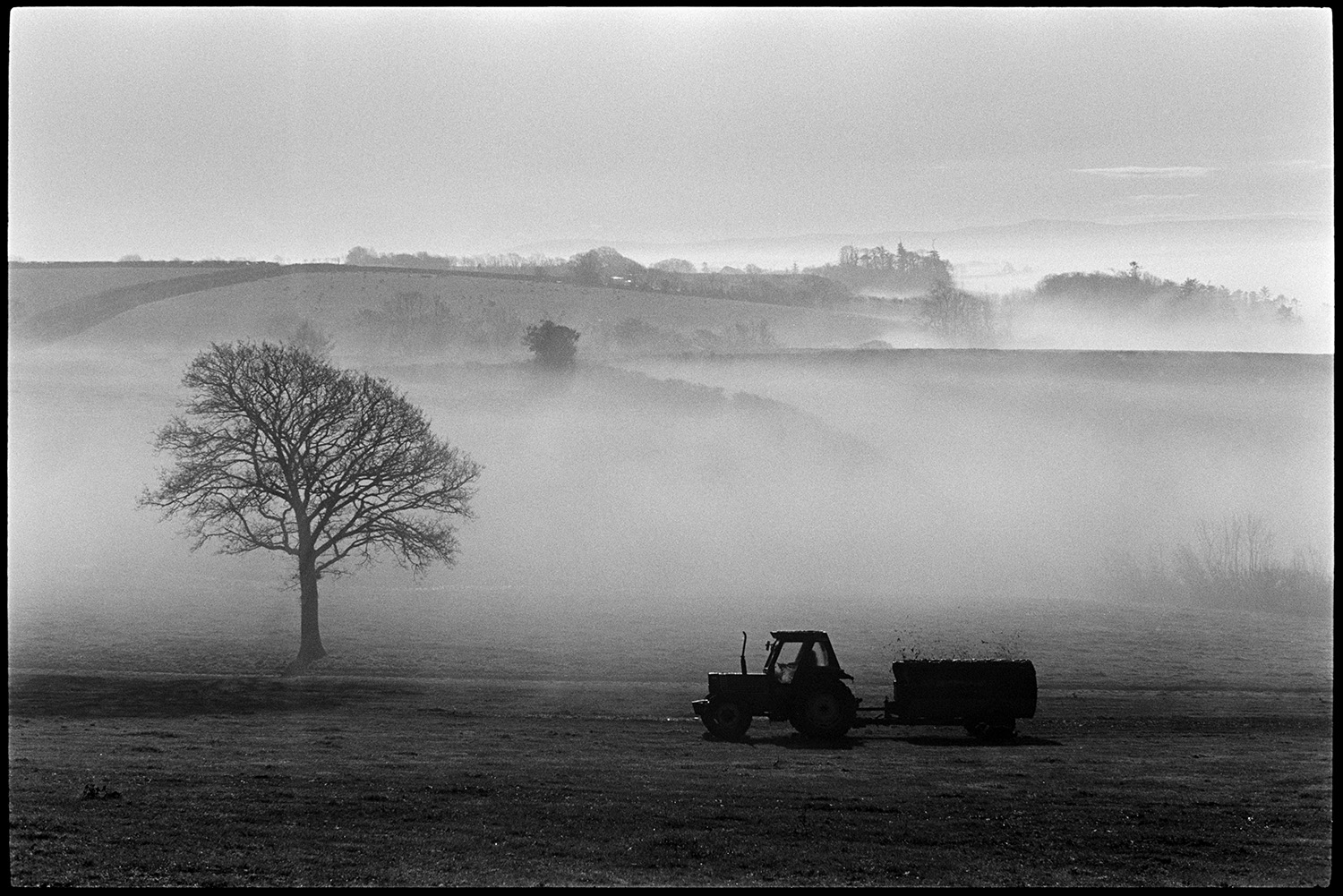 Landscape morning mist, cows and misty woods. 
[A farmer muckspreading with a tractor and muck spreader in a field at Harepath, Beaford in the morning. A misty landscape with trees and fields can be seen in the background.]