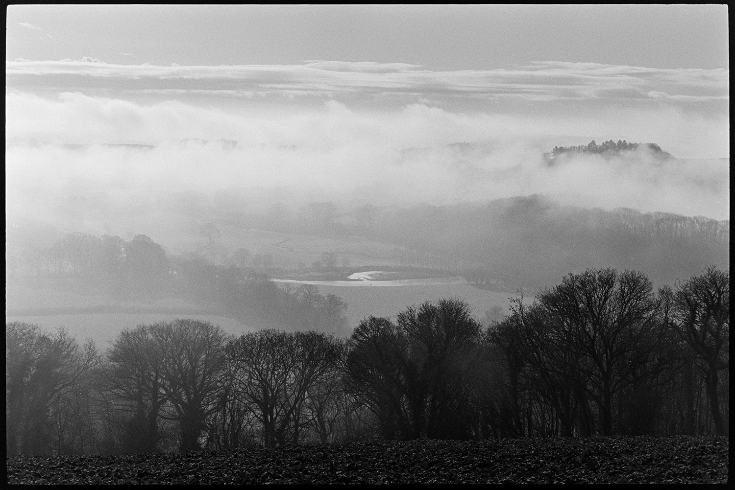 Misty early morning with trees and sunrise over distant moor. 
[A misty landscape with trees, fields and possibly the River Torridge at Harepath, Beaford, in the morning. Dartmoor can just be seen on the horizon, through the mist.]