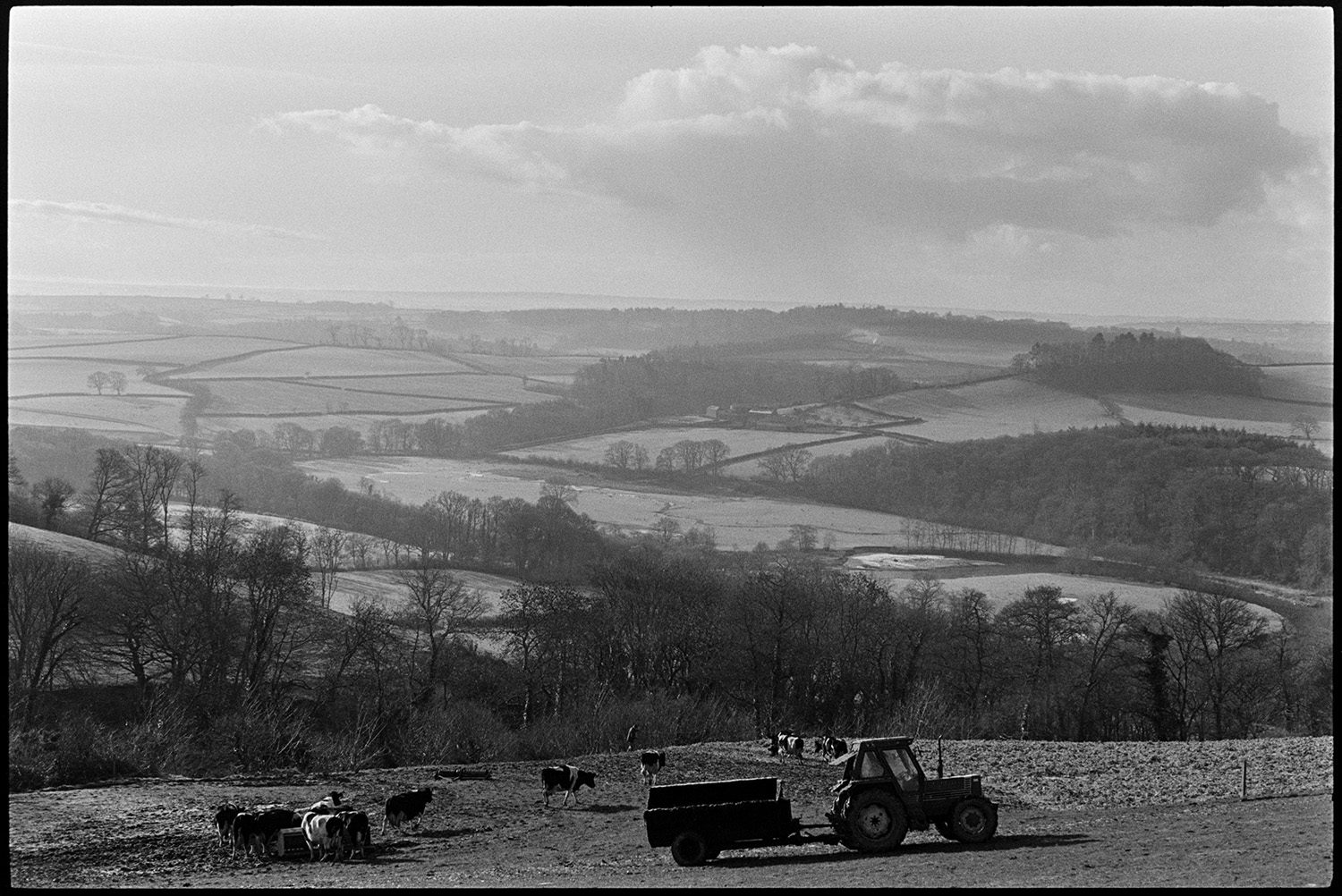 Cows on misty early morning, sunrise over distant moor. 
[A tractor and muck spreader in a field with cows eating from a feeder at Harepath, Beaford. A misty landscape with fields, trees, the River Torridge and woodland is visible in the background.]