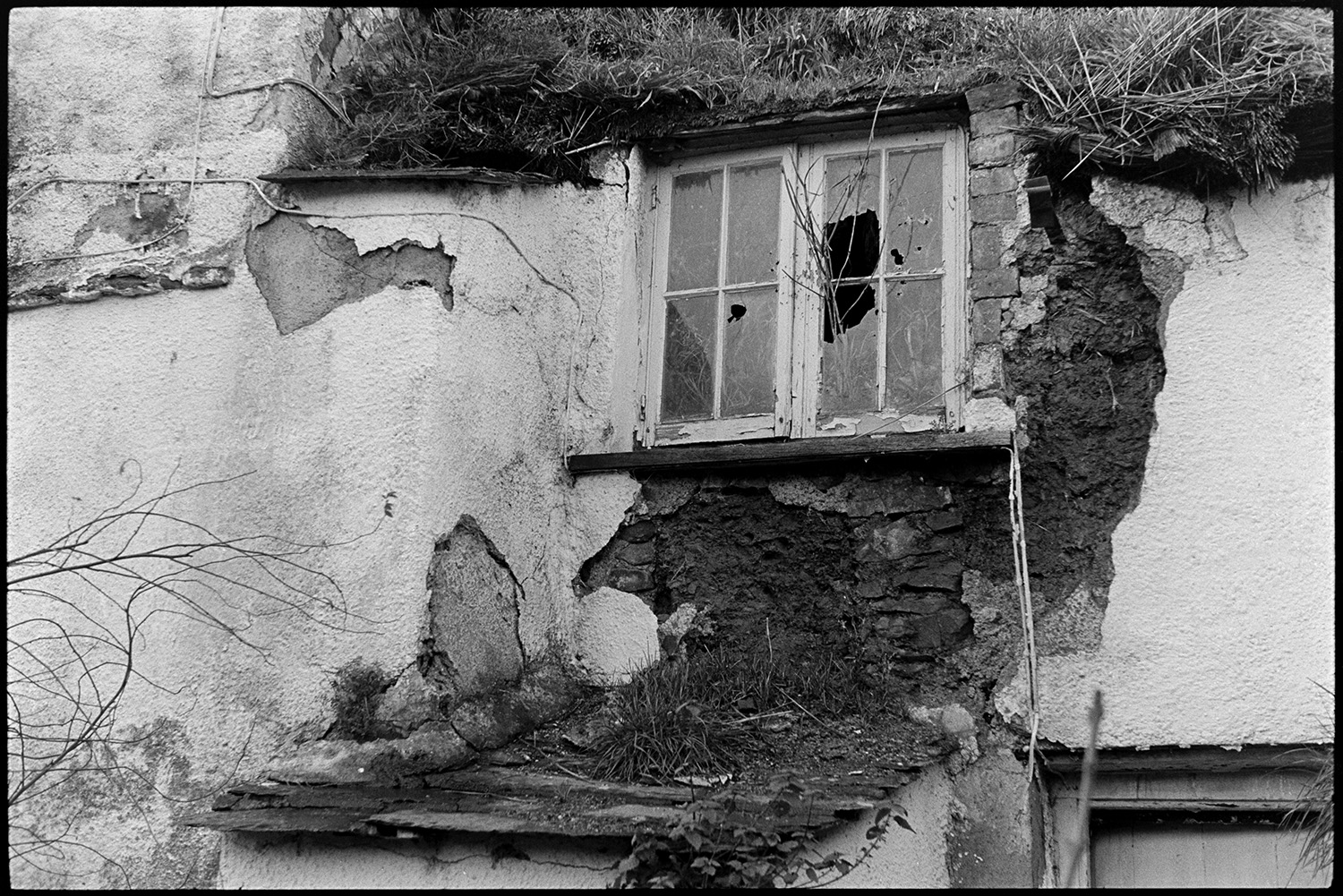 Derelict collapsing farmhouse cob and thatch old cob barn. 
[A crumbling cob and thatch farmhouse at Combe Farm, Upcott, Dolton. Render is peeling off the walls, an upstairs window is broke and grass is growing in the thatched roof.]