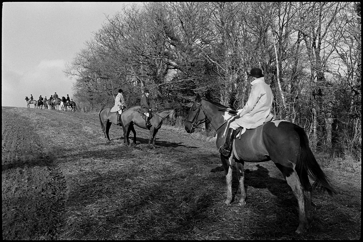 Hunt in ploughed field and wood. 
[Huntsmen on horseback at the edge of a ploughed field in Petrockstowe on a hunt. Woodland can be seen behind the field.]