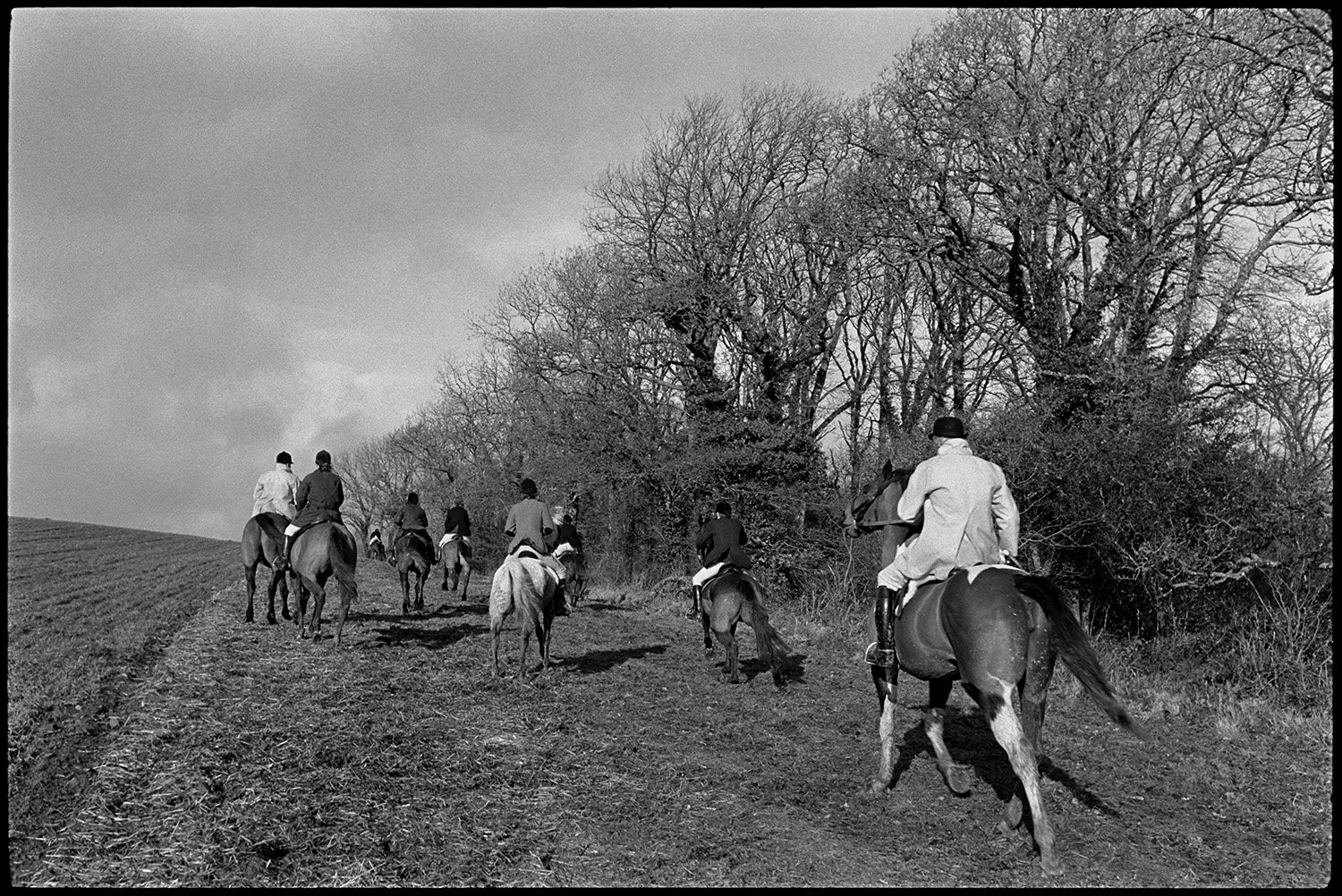 Hunt in ploughed field and wood. 
[Huntsmen on horseback riding along the edge of a ploughed field on a hunt at Petrockstowe. Trees line the field.]