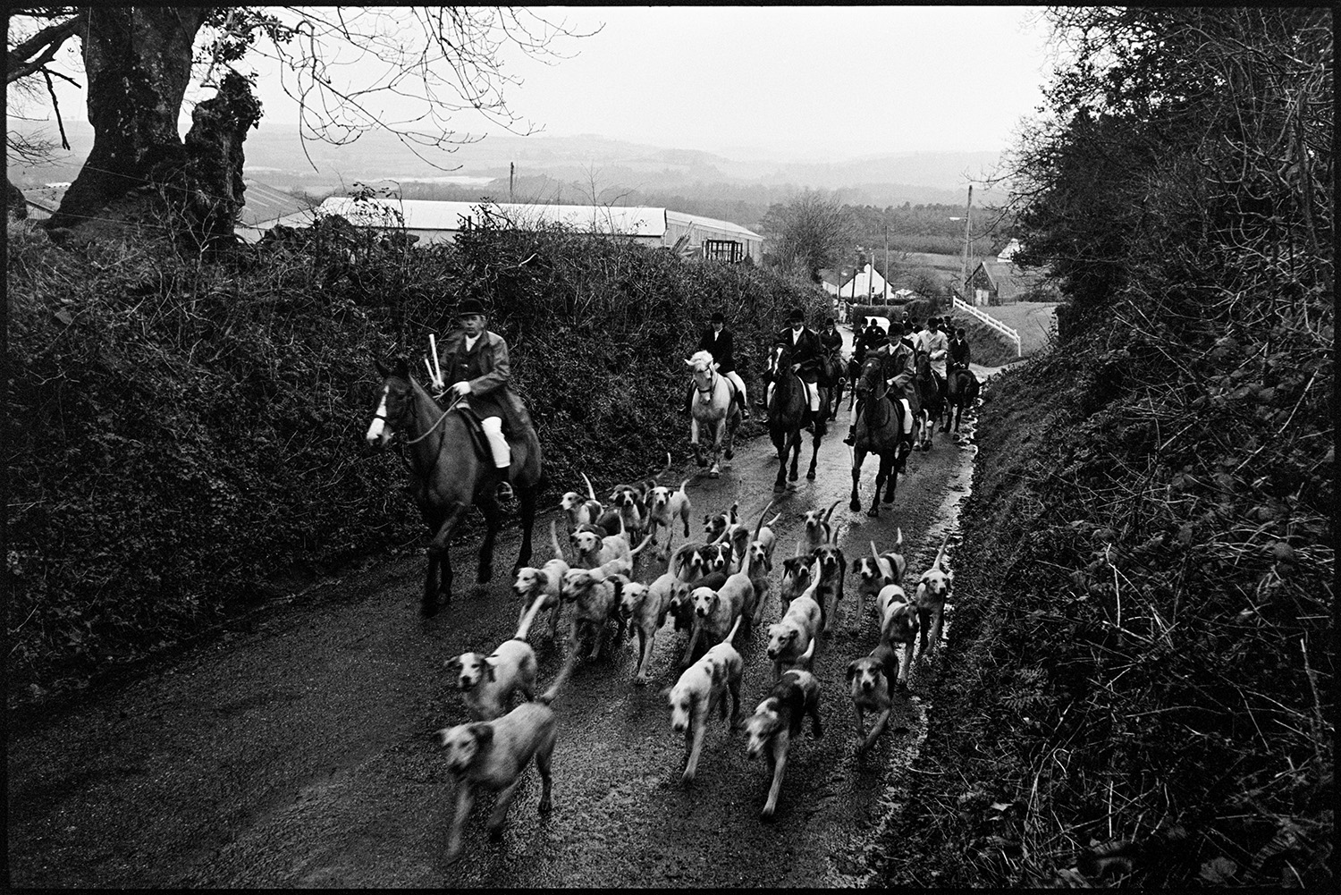 Hunt meet in village, setting off, horses and riders waiting in rain on lonely road. 
[Huntsmen on horseback setting off on a hunt with hounds, along a lane in Petrockstowe.]