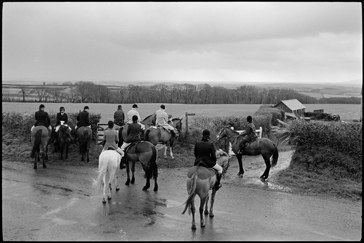 Hunt meet in village, setting off, horses and riders waiting in rain on lonely road. 
[Huntsmen on horseback gathered on a road by the entrance to a farm at Petrockstowe, before a hunt. They are looking across a field to trees in the background.]