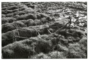 Abandoned plough by James Ravilious